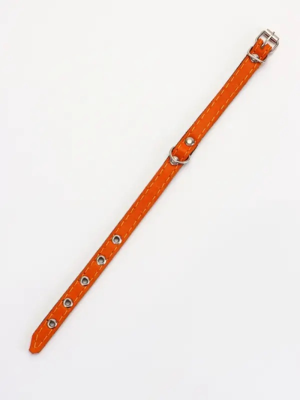 Ошейник кожаный однослойный  на  фетре неукрашенный, 1,2 см, ОШ 20-26 см,