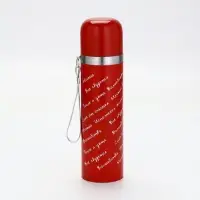 Термос с подвесом &laquo;Всё сбудется&raquo;, 500 мл