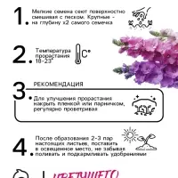 Семена цветов Дельфиниум "Гиацинт", 0,3 г