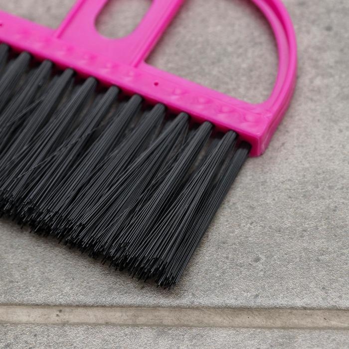 Щётка для пола с совком &laquo;Чистота&raquo;, 20&times;13 см, цвет МИКС