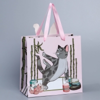 Пакет подарочный, упаковка, &laquo;Йога&raquo;, 22 х 22 х 10 см