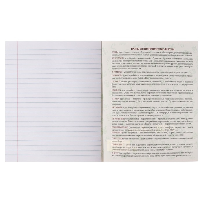 Тетрадь предметная Calligrata TOP "Анимэ", 48 листов в линию Литература, со справочным материалом, обложка мелованный картон, блок офсет