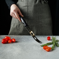 Нож для сыра Доляна &laquo;Грайм&raquo;, лезвие 15 см, коррозионностойкая сталь, чёрный