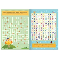 Набор книг &laquo;Математические и буквенные лабиринты&raquo;, 2 шт. по 20 стр., от 6 лет