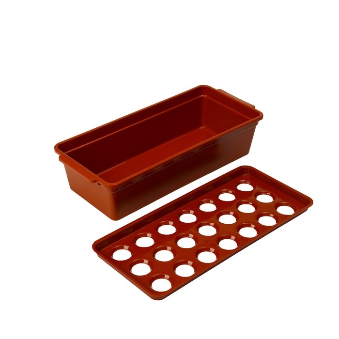 Ящик для выращивания зелёного лука, 40 &times; 19 &times; 10 см, 21 лунка, красный