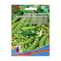Семена Горох "Сахарное великолепие", 15 г