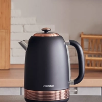 Чайник HYK-S4501 1.7л. 2200Вт черный