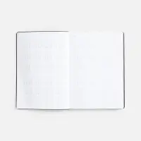 Ежедневник Nebraska Flex, недатированный, серебристый