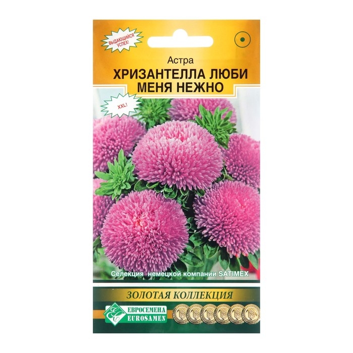 Семена Цветов Астра китайская Хризантелла Люби меня Нежно, 5 шт Семена Цветов Астра китайская Хризантелла Люби меня Нежно, 5 шт