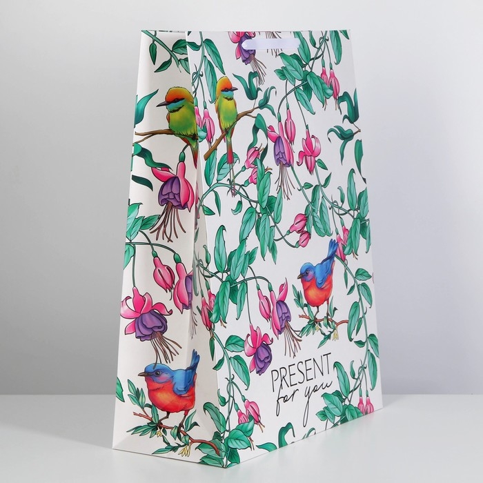 Пакет подарочный ламинированный вертикальный, упаковка, &laquo;Present for you&raquo;, 61 х 46 х 20 см