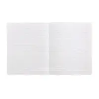 Тетрадь 18 листов в линию Calligrata "Однотонная Классика", обложка мелованный картон, ВД-лак, блок офсет, белизна 95%, МИКС