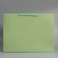 Пакет ламинированный горизонтальный "Хаки", XXL  61 х 46 х 20 см