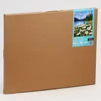 Картина по номерам на холсте с подрамником "Ромашковое поле" 40*50 см