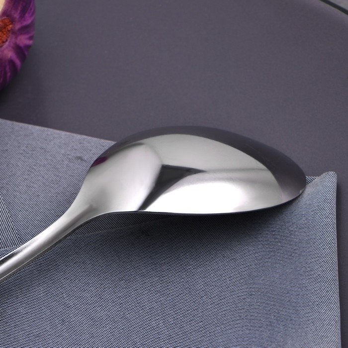 Ложка столовая Доляна &laquo;Равингтон&raquo;, длина 20,1 см, толщина 1,2 мм