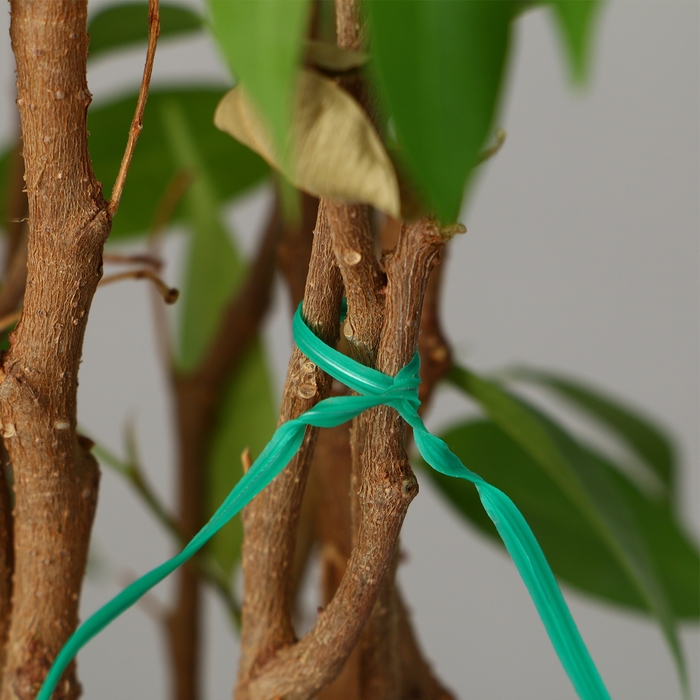 Проволока подвязочная, 20 см, в наборе 100 шт., зелёная, Greengo