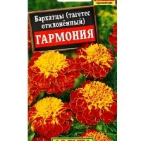 Семена цветов Бархатцы Гармония отклоненные , Ц/П,0,3 г