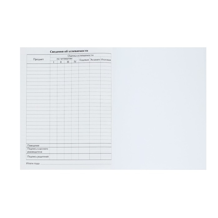 Дневник школьный для 1-11 классов, &laquo;Граффити&raquo;, твёрдая обложка 7БЦ, глянцевая ламинация, 40 листов