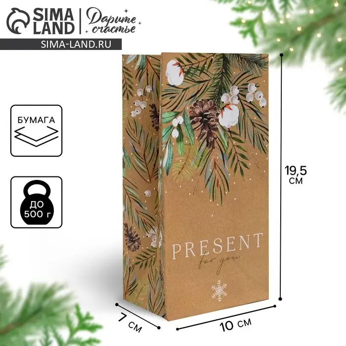 Пакет без ручек &laquo;Present for you&raquo;, 10 х 19.3 х 7 см