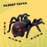 Животное &laquo;Паук&raquo;, на дистанционном управлении, работает от батареек, цвета МИКС