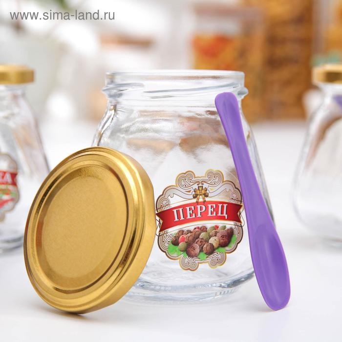 Набор банок для специй &laquo;Соль, перец, паприка, гвоздика&raquo;, 260 мл, 4 шт