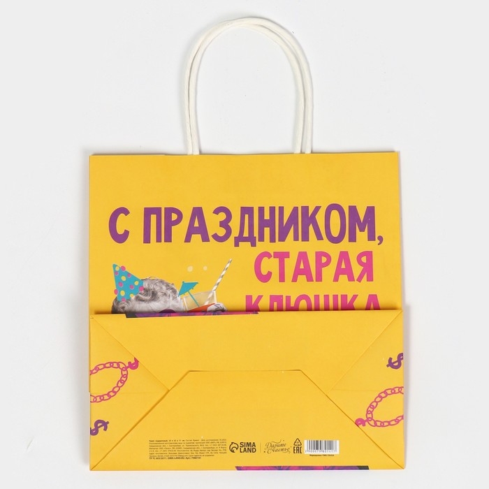 Пакет подарочный, упаковка, &laquo;Клюшка&raquo;, 22 х 22 х 11 см