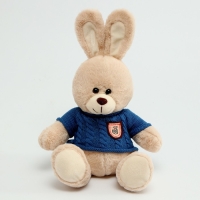 Мягкая игрушка &laquo;Заяц&raquo;, в свитере, 25 см, цвет МИКС