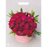 Пакет &laquo;Букет пионов&raquo;, полиэтиленовый, с вырубной ручкой, 31&times;40 см, 60 мкм