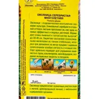 Семена цветов Овсяница Серебристая многолетняя Мн, Ц/П,5 шт.