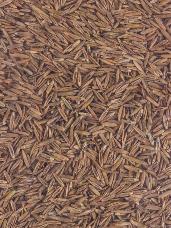 Газон Микс "Мой Выбор" 5кг