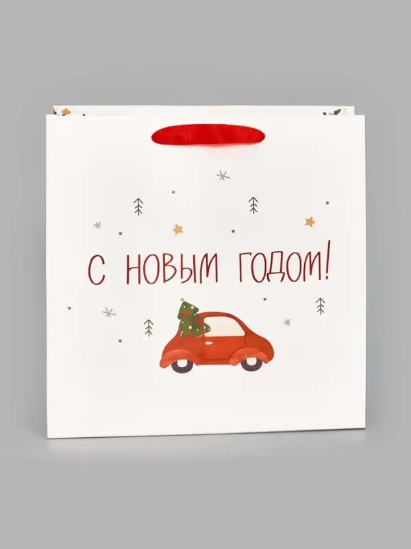 Пакет подарочный ламинированный квадратный &laquo;Волшебного&raquo;, 22&times;22&times;11 см