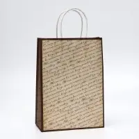 Пакет подарочный крафтовый &laquo;Рукопись&raquo; 18&times;8&times;25 см, 120 г/м&sup2;