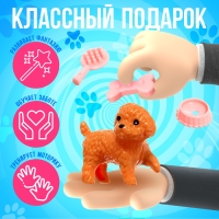 Игровой набор &laquo;Милые питомцы&raquo;