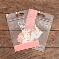 Пакет подарочный, с zip-lock застежкой, 15&times;23 см