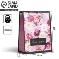 Пакет ламинированный &laquo;Самой красивой&raquo;, S 12 х 15 х 5.5 см