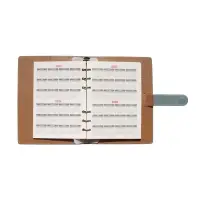 Органайзер на кольцах, C6, с хлястиком, 80л, линия, к/зам, Зеленый