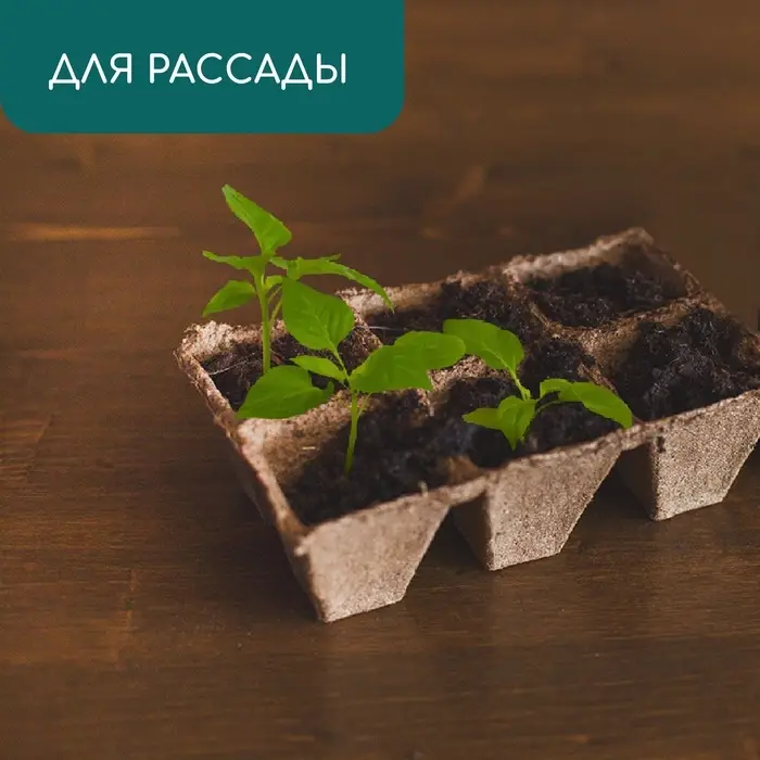 Кассета для рассады, 28 &times; 20 &times; 9 см, 6 ячеек по 400 мл, торф, 9 &times; 9 см