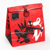 Набор крафтовых пакетов со стикерами, Человек-паук, 18х22х12 см