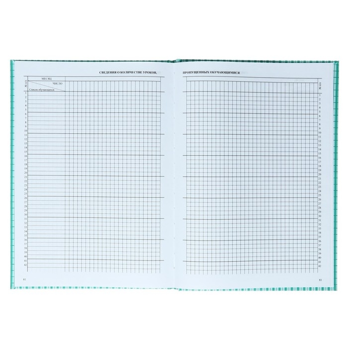 Классный журнал для 10-11 классов А4, 184 страницы, твердая ламинированная обложка, блок офсет 65г/м2