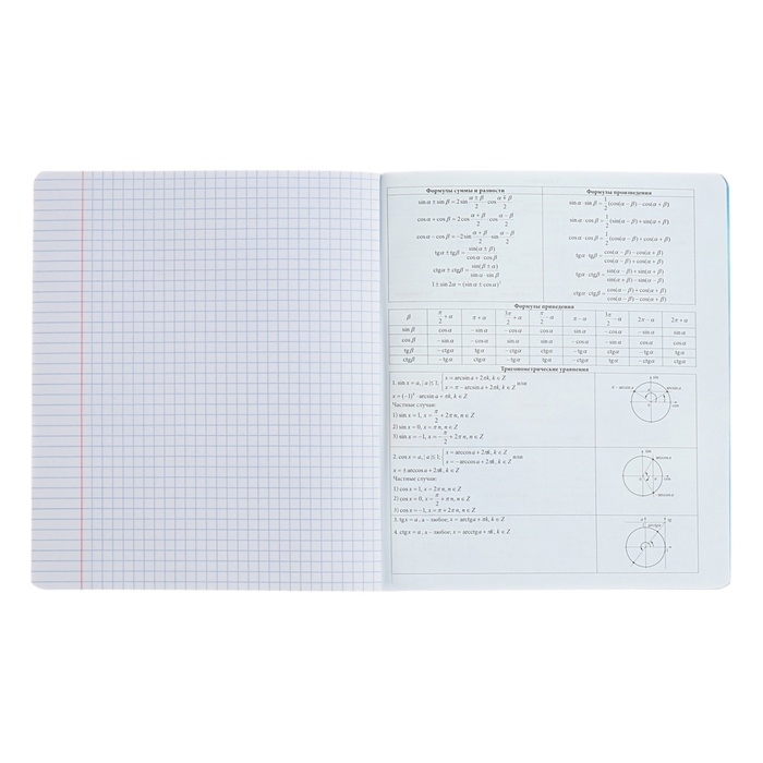Тетрадь предметная АЛГЕБРА, 48 листов в клетку, ErichKrause Manga, обложка мелованный картон, твин-лак, блок офсет 100% белизна, инфо-блок