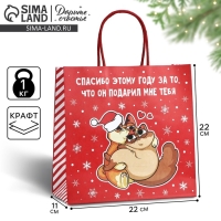 Пакет подарочный новогодний &laquo;Спасибо этому году&raquo;, 22 х 22 х 11 см