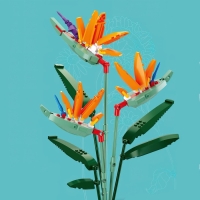 Конструктор &laquo;Цветы. Цветочная композиция&raquo;, 269 деталей