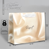 Пакет подарочный, упаковка, &laquo;Present&raquo;, 22 х 17.5 х 8 см