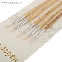 Набор кистей коза, 5 штук (№1, 2, 3, 4, 5), круглые, с деревянными ручками, в блистере