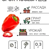 Семена Перец сладкий "Богатырь", 0,3 г