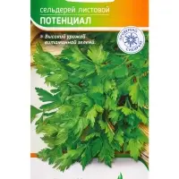 Семена Сельдерей "Потенциал" 1 г