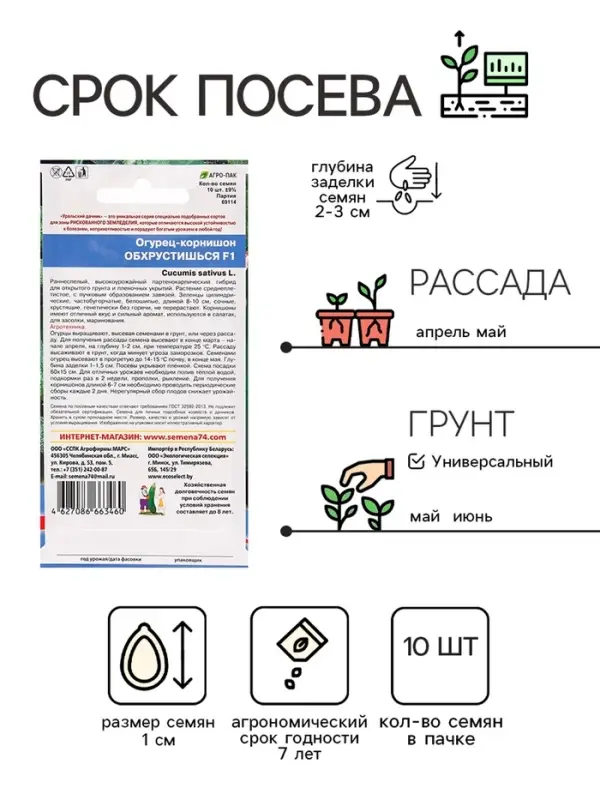 Семена Огурец "Обхрустишься" F1, раннеспелый, партенокарпический, 10 шт