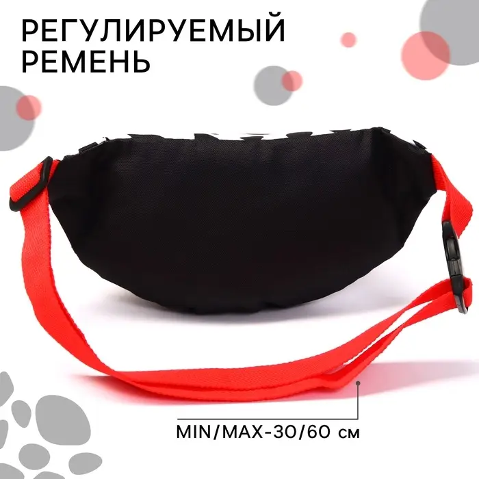 Сумка поясная, 25х6х13 см, Злодейки