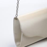 Сумка женская на магните, цвет золотистый