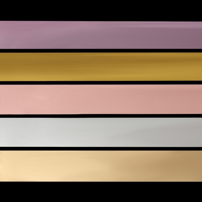 Набор фольги для ногтей &laquo;NUDE&raquo;, 4 &times; 40 см, 10 шт, в пластиковом органайзере