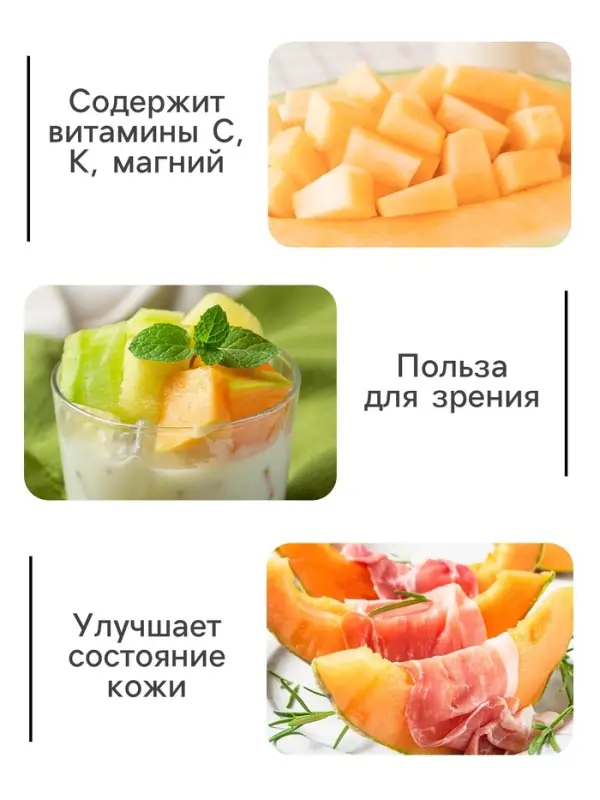 Семена Дыня "Колхозница 749/753", 0,3 г